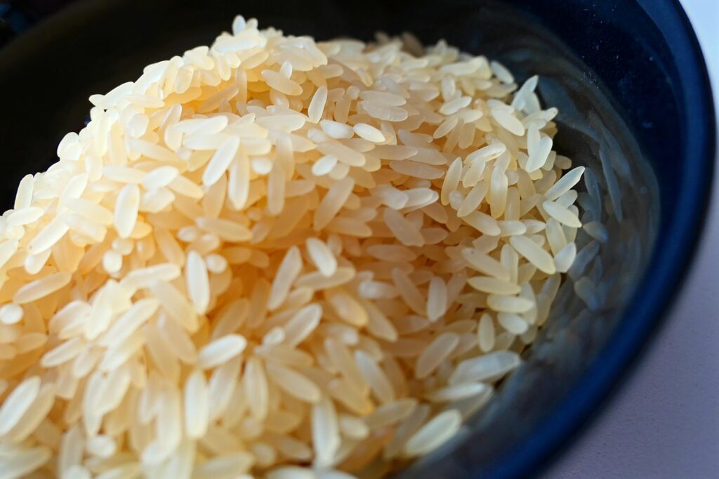 rice, rice bowl, asian, food, rice plate, meal, shell, rice dish, rice, rice bowl, rice bowl, rice bowl, rice bowl, rice bowl